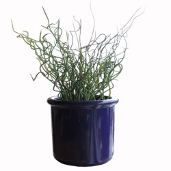 Mille Kkkenredskabsholder Bl