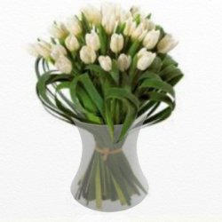 SILENCE vase, lav, &aelig;blegr&oslash;n